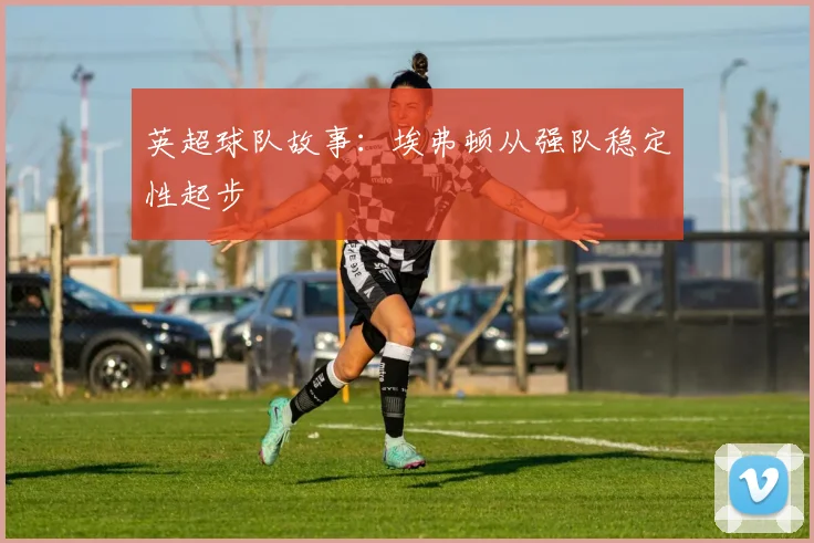 英超球队故事:埃弗顿从强队稳定性起步