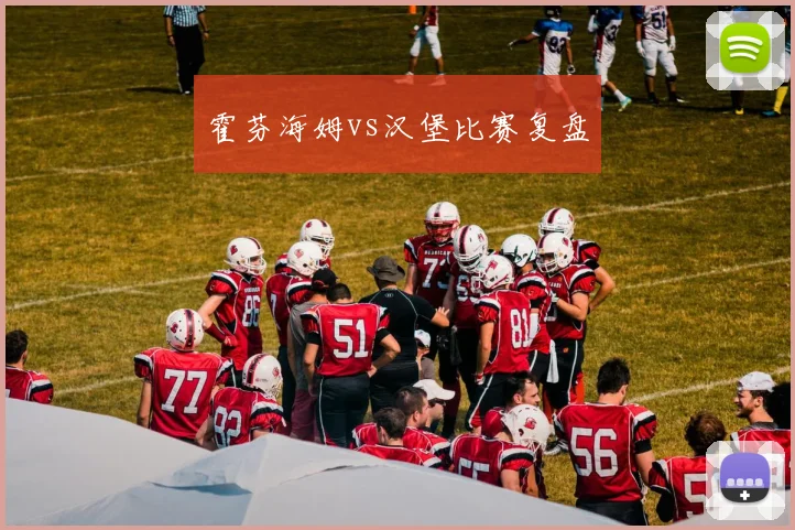 霍芬海姆vs汉堡比赛复盘
